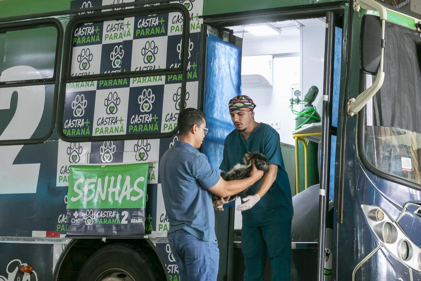Iniciativa visa o controle populacional, redução de abandonos e prevenção de doenças e segue no município até quarta-feira