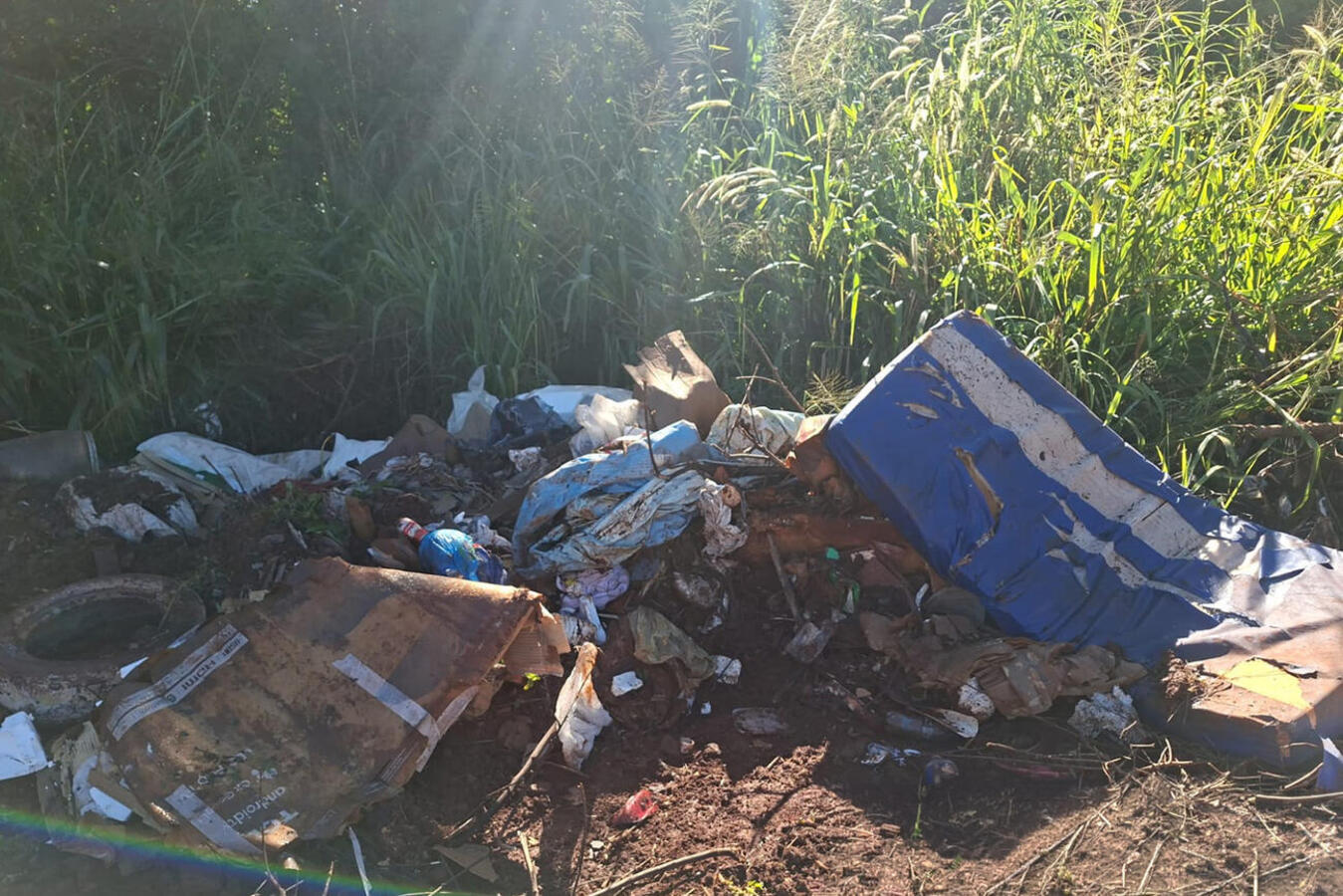 No contexto do “Junho Verde” e do projeto “Rio Com Vida”, trabalho realizado recentemente por SMMA e IAT analisou 16 segmentos de 5 rios urbanos de Toledo