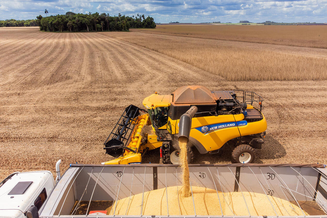Dados preliminares divulgados pela Seab apontam que o Valor Bruto da Produção Agropecuária do município cresceu 9,32% em 2025, chegando a R$ 5,160 bilhões