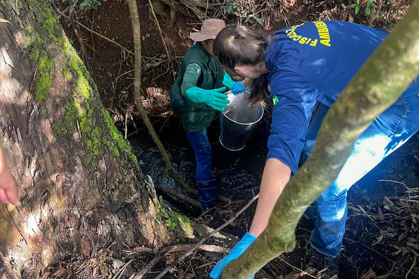 No contexto do “Junho Verde” e do projeto “Rio Com Vida”, trabalho realizado recentemente por SMMA e IAT analisou 16 segmentos de 5 rios urbanos de Toledo