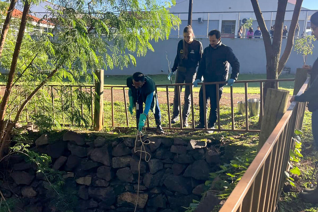 No contexto do “Junho Verde” e do projeto “Rio Com Vida”, trabalho realizado recentemente por SMMA e IAT analisou 16 segmentos de 5 rios urbanos de Toledo