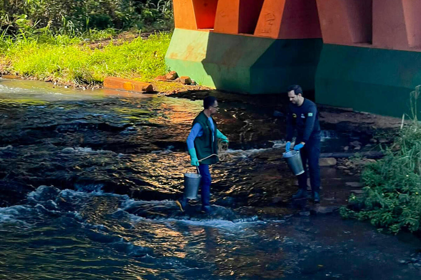 No contexto do “Junho Verde” e do projeto “Rio Com Vida”, trabalho realizado recentemente por SMMA e IAT analisou 16 segmentos de 5 rios urbanos de Toledo