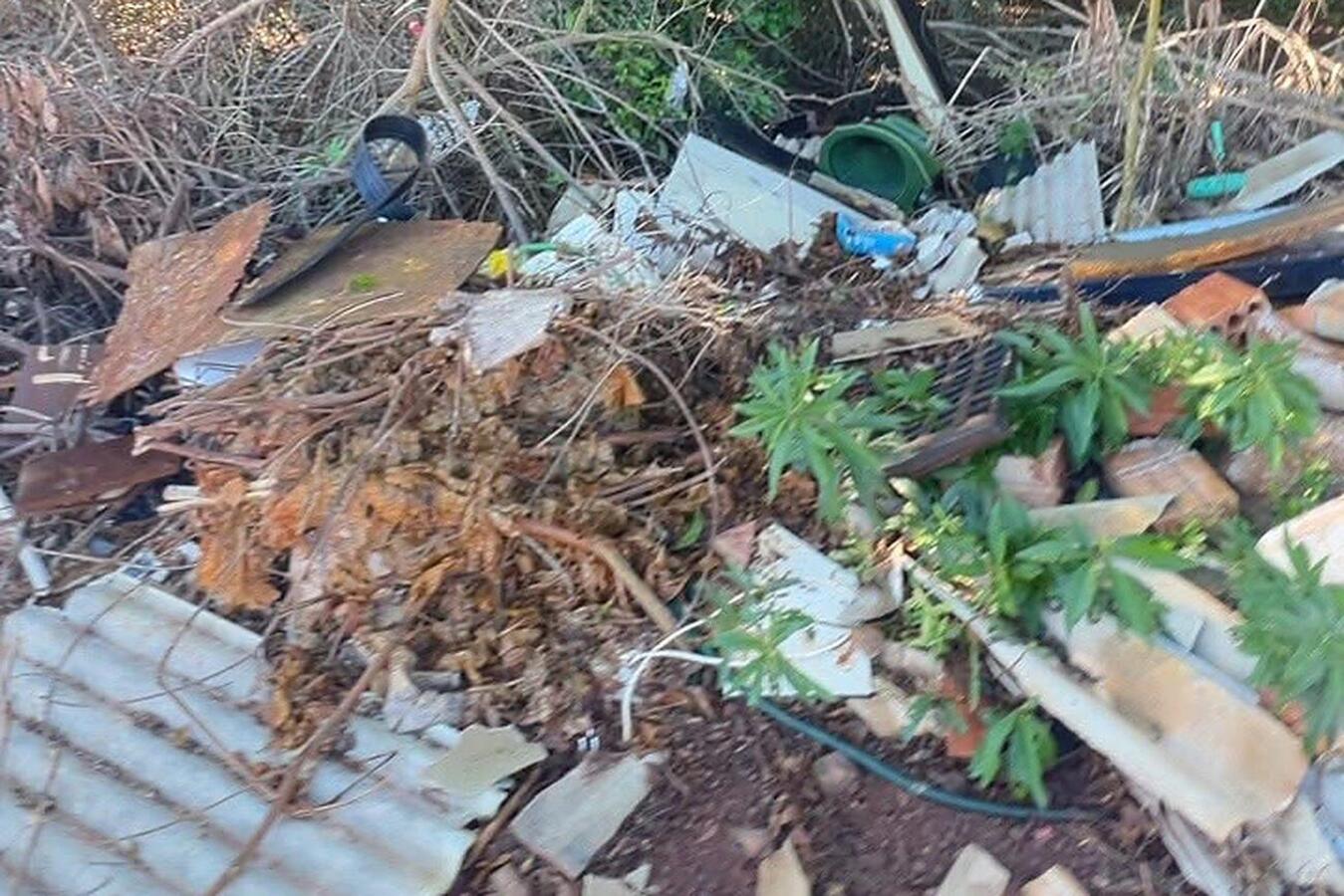 No contexto do “Junho Verde” e do projeto “Rio Com Vida”, trabalho realizado recentemente por SMMA e IAT analisou 16 segmentos de 5 rios urbanos de Toledo