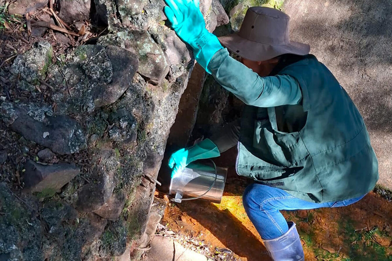 No contexto do “Junho Verde” e do projeto “Rio Com Vida”, trabalho realizado recentemente por SMMA e IAT analisou 16 segmentos de 5 rios urbanos de Toledo