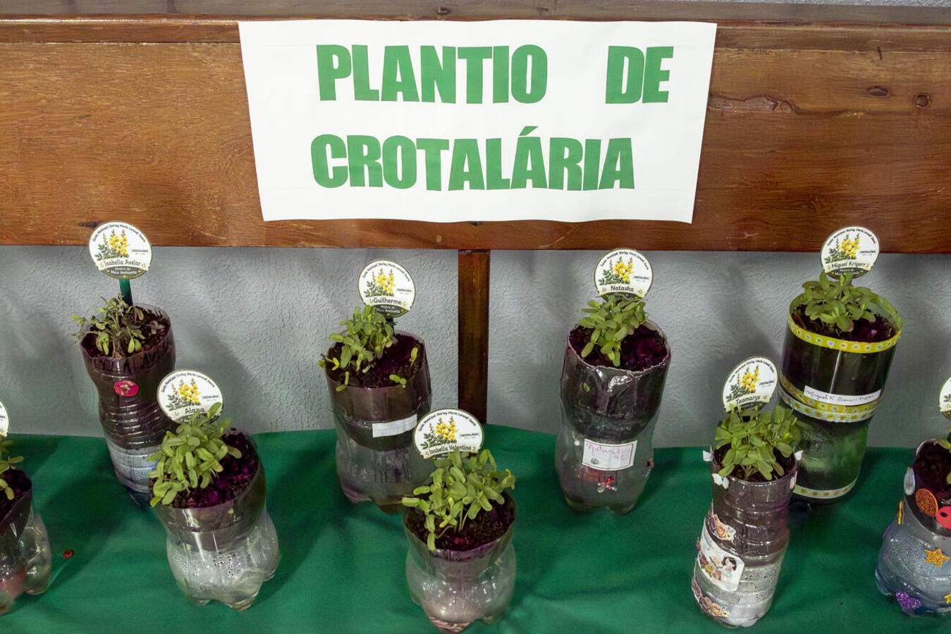 Exposição integra a programação do Junho Verde e apresenta atividades desenvolvidas por alunos do Infantil 4 ao 5º ano do Ensino Fundamental