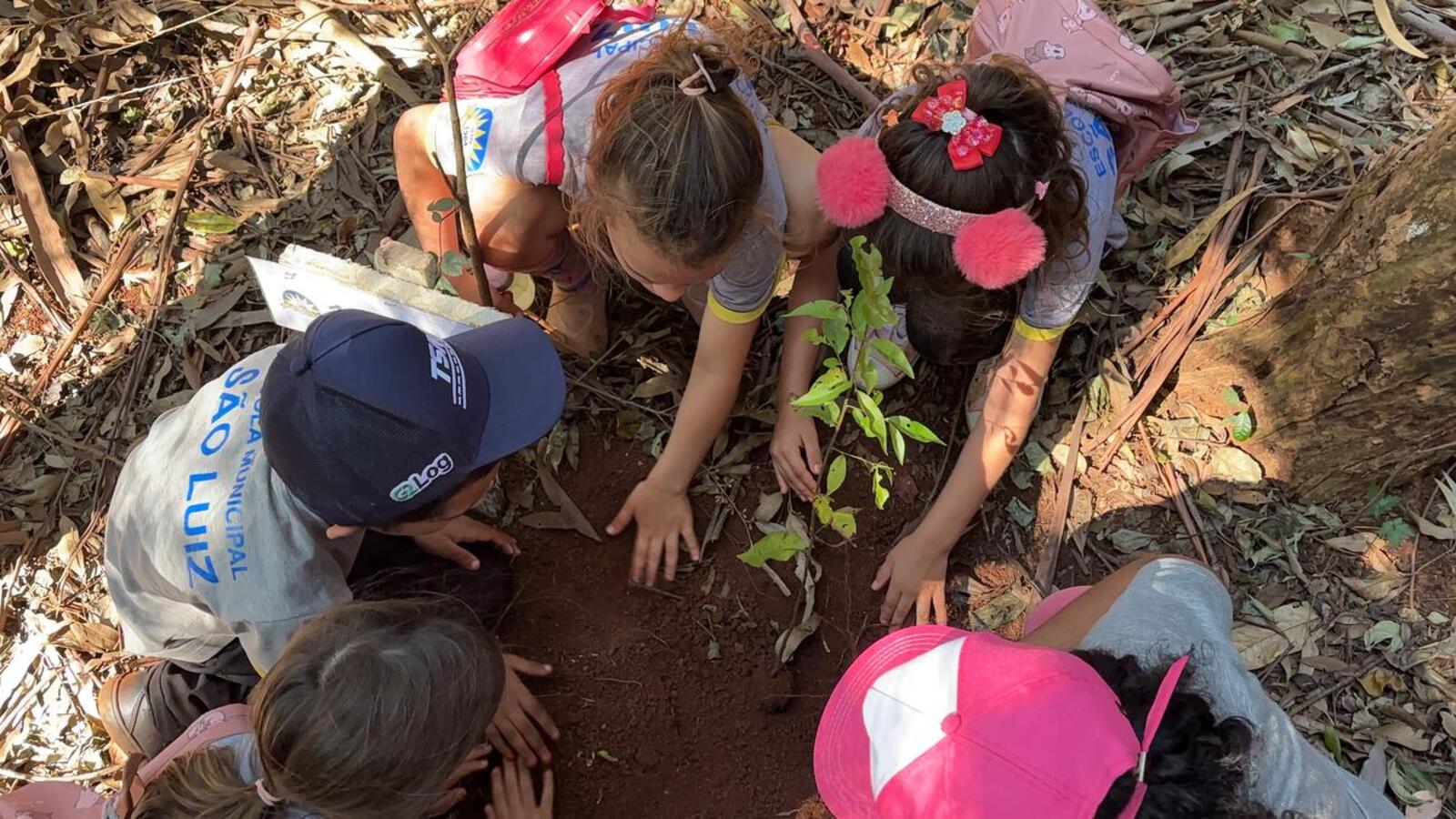 Cerca de 89 alunos participaram de percurso de 7 quilômetros, plantio de 23 mudas, trilha e ações de conscientização ambiental