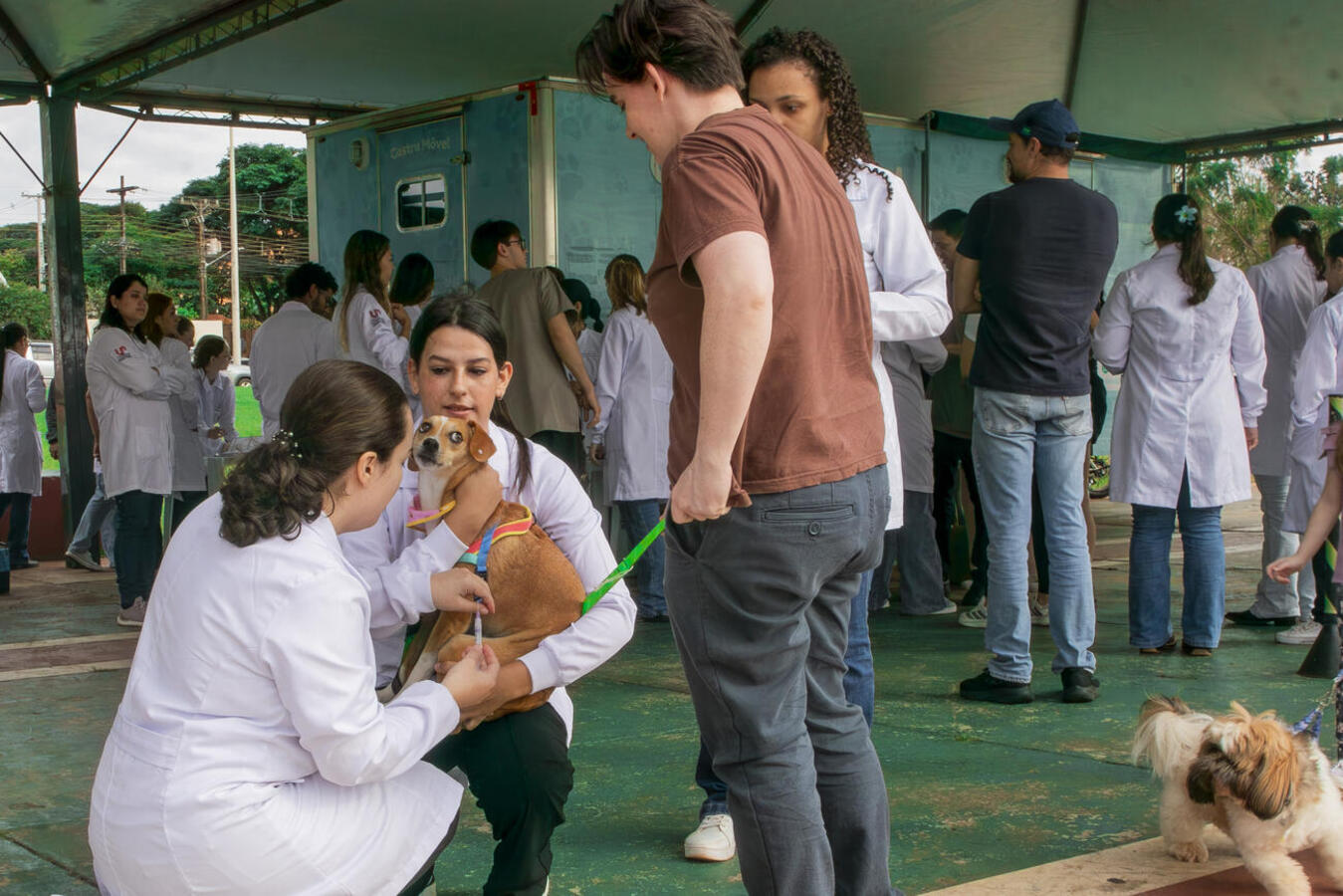 Ação neste sábado (15), do Departamento de Proteção e Defesa Animal, teve o apoio dos cursos de Medicina Veterinária dos câmpus locais da Unipar e da PUCPR