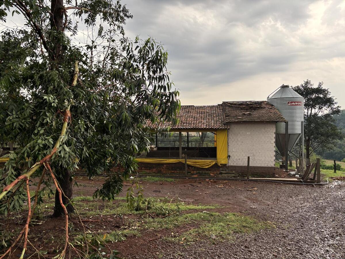 Ocorrências foram registradas na manhã de domingo (30), com maior dano em uma propriedade entre a Linha São Salvador e Cerro da Lola
