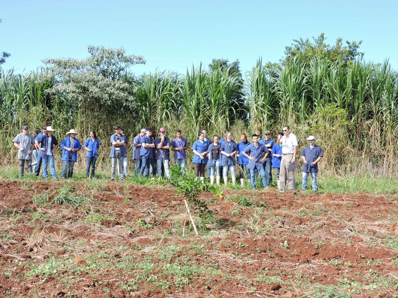 PROJETO DIDÁTICO PEDAGÓGICO
