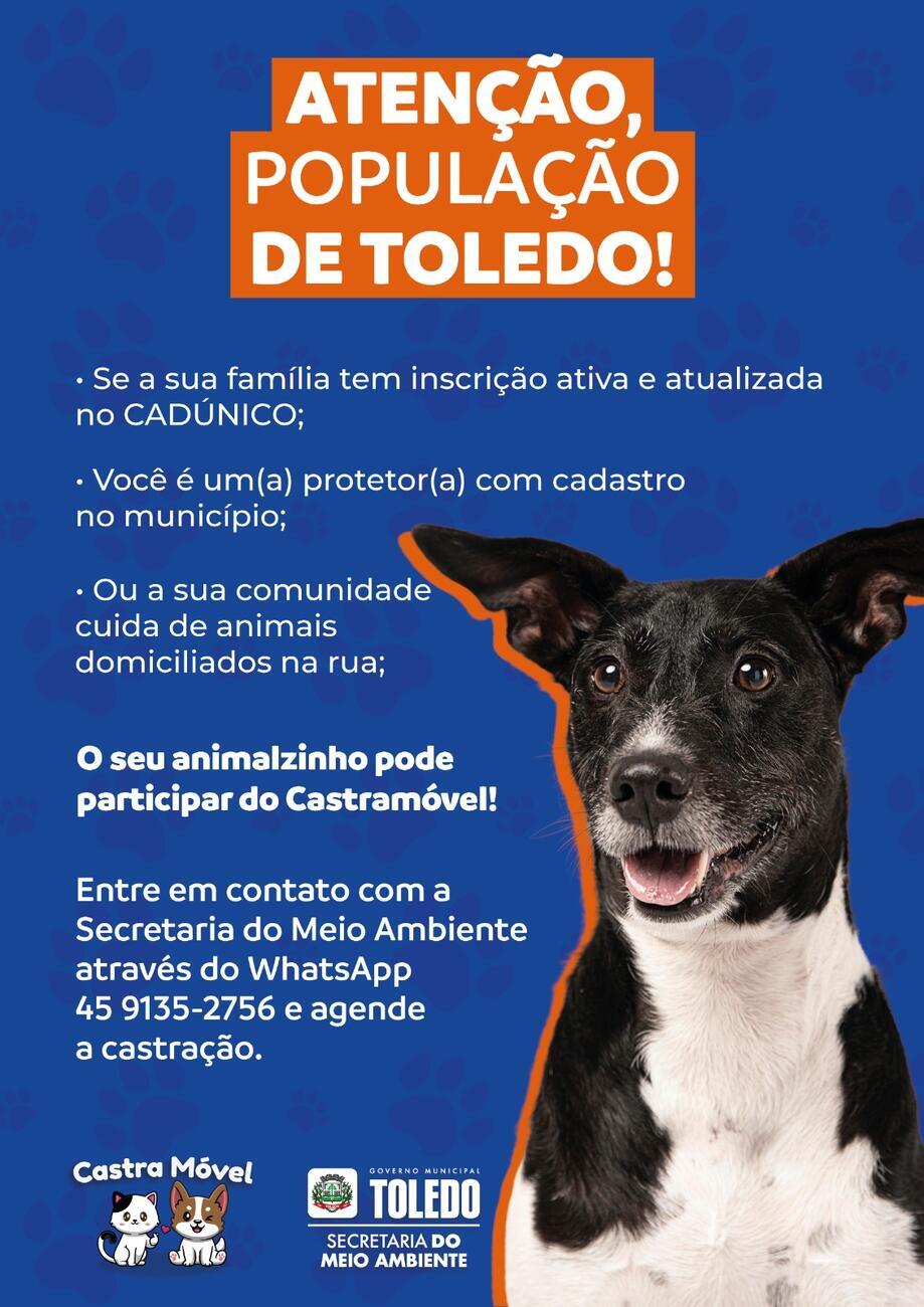 Programa de Controle Populacional de Cães e Gatos