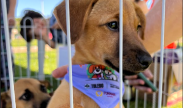Houve grande movimentação de pessoas, pets e atividades no Parque Ecológico Diva Paim Barth durante a realização do evento