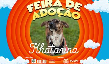 A feira acontece no Parque Ecológico Diva Paim Barth a partir das 15h