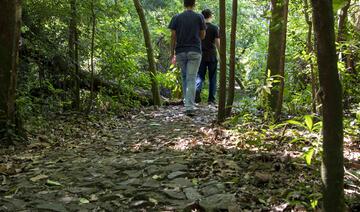 Os dois roteiros são oportunidades para uma reconexão com a natureza e o fortalecimento da saúde física e mental dos visitantes 