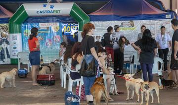 Mais de 280 animais (a maioria de protetoras cadastradas) serão atendidos entre quinta e sexta (27 e 28) por projeto da Sedest, que conta com o apoio da SMMA
