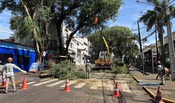 Trabalho ocorreu na manhã de terça (2), após isolamento da área, em trabalho conjunto da Defesa Civil, da Guarda Municipal e das secretarias de Infraestrutura Rural e Urbana e do Meio Ambiente