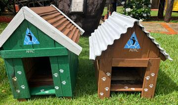 Iniciativa produz abrigos para cães acolhidos por populares e protetoras credenciadas