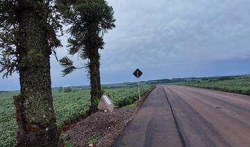 Prefeitura entrega oficialmente obra em estrada de Linha Santa Terezinha