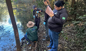 No contexto do “Junho Verde” e do projeto “Rio Com Vida”, trabalho realizado recentemente por SMMA e IAT analisou 16 segmentos de 5 rios urbanos de Toledo