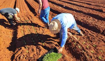 A entrega do projeto “Horta Agrocidadão” está marcada para o dia 26 de junho, iniciativa que promove a produção de alimentos saudáveis e a educação ambiental no município